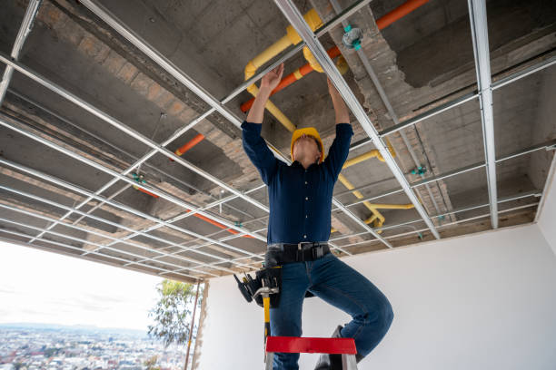 Best Leak Detection Services  in Sun Prairie, WI